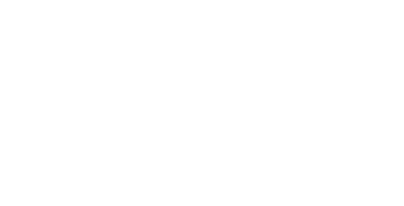 M van Schie Onderhoud